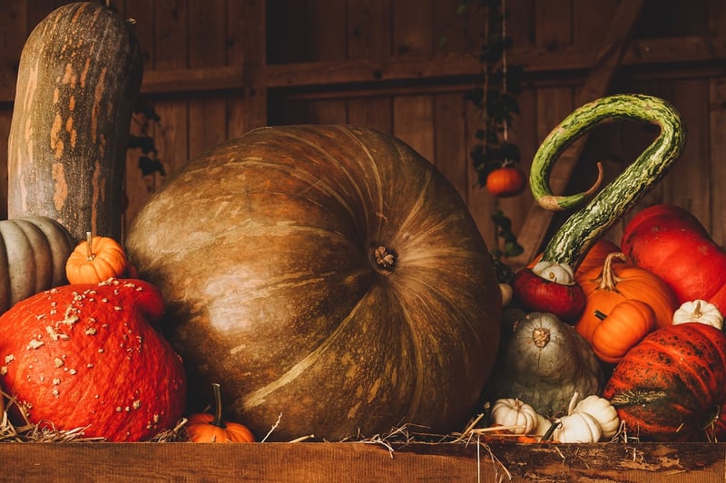 Spellbound Harvest