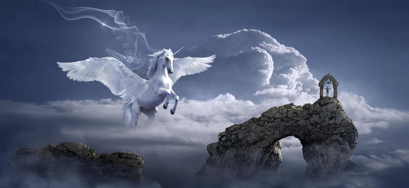 Fairy Tale Wonderland