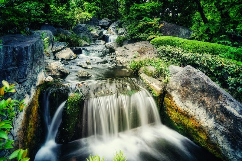 Zen Oasis